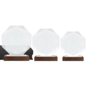 trophée en verre et bois forme octogone – Image 5